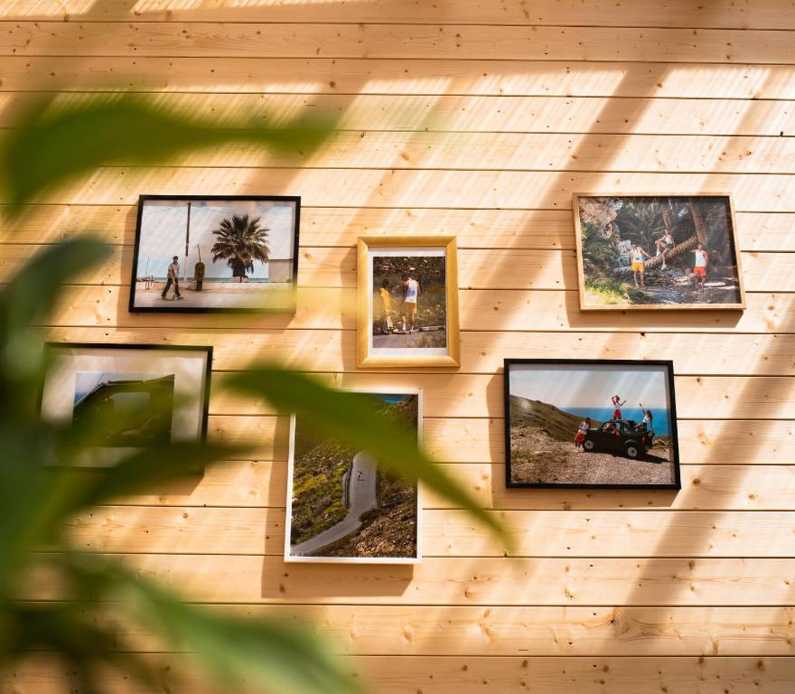 Fotografie z fotogalerie ubytování Klimatyzowane Surf Domki - Maszoperia Sun4Hel - Letnia Baza SnowShow na Półwyspie Helskim v destinaci Jastarnia
