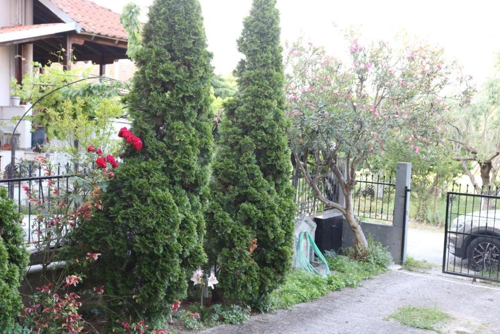 Zahrada ubytování Apartment of Zeus/Leptokarya