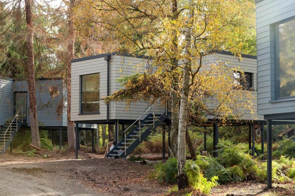 ein Haus im Wald mit einer Treppe in der Unterkunft Tierpark Entdeckerhäuser in Wagenfeld