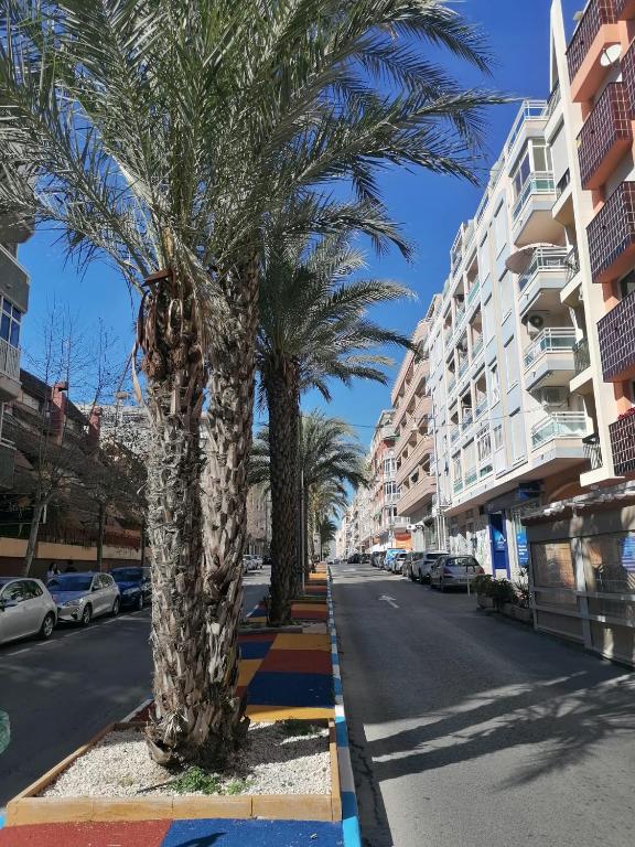 Fotografia z galérie ubytovania Atico Calle Bergantin playas del cura / los locos v destinácii Torrevieja