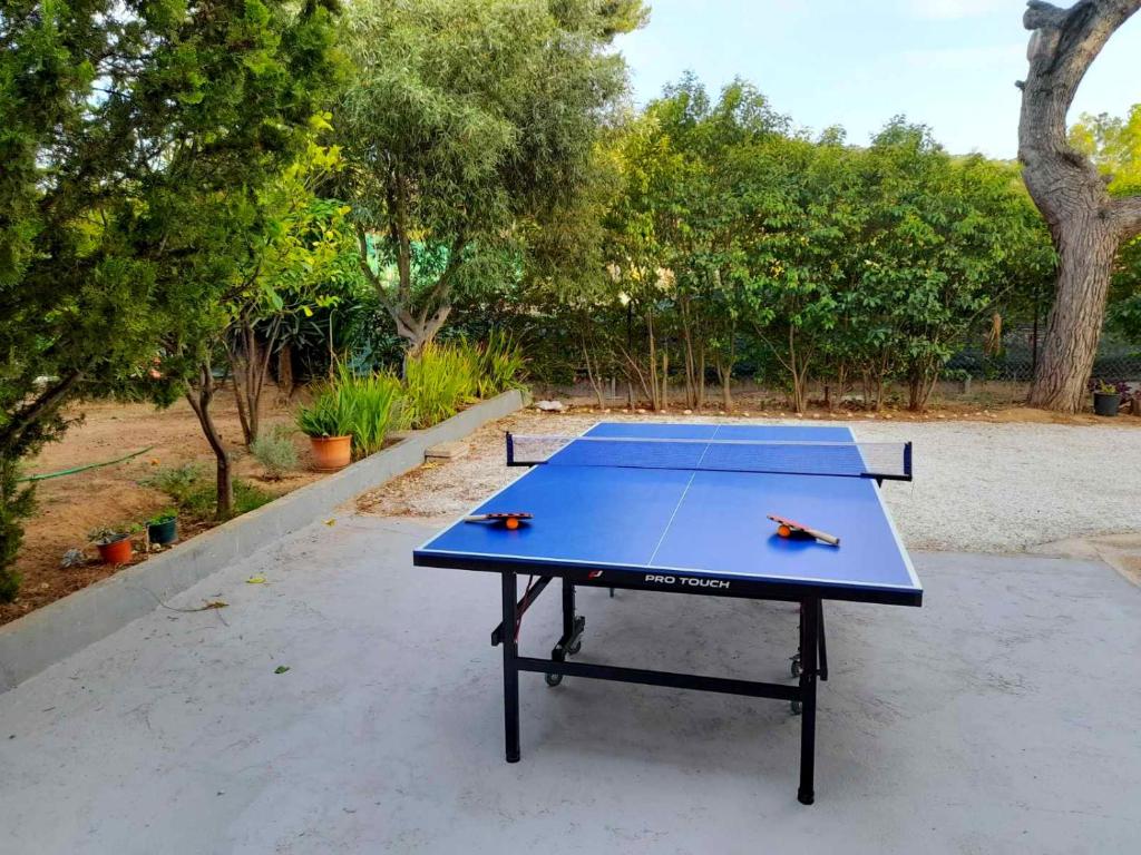 Tennis de table au sein de l'établissement Cosy garden house ou à proximité