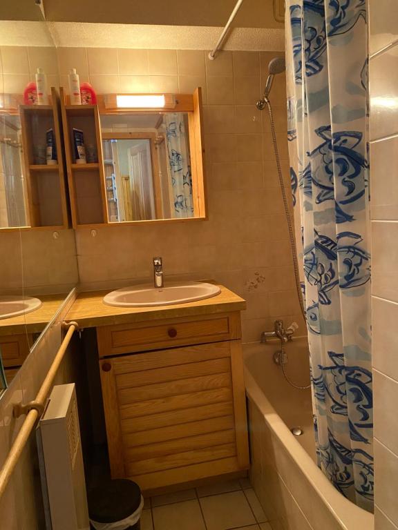Koupelna v ubytování chaleureux T2 à MORILLON