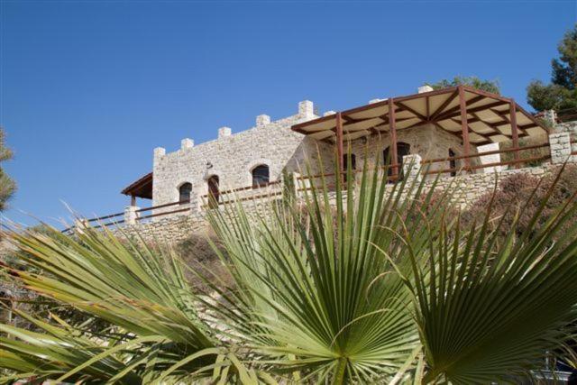 una casa en la cima de una colina con una palmera en Villas Alexandros Petrino en Kalamaki