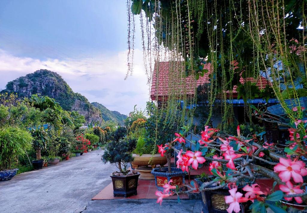 a group of potted plants on a street at Ninh Binh Green Farmstay in La Phù