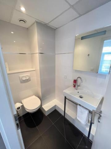 a white bathroom with a toilet and a sink at Residence OLit Cathédrale in Strasbourg
