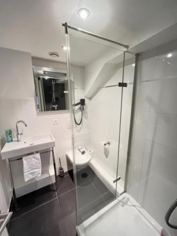 a bathroom with a shower and a toilet and a sink at Residence OLit Cathédrale in Strasbourg
