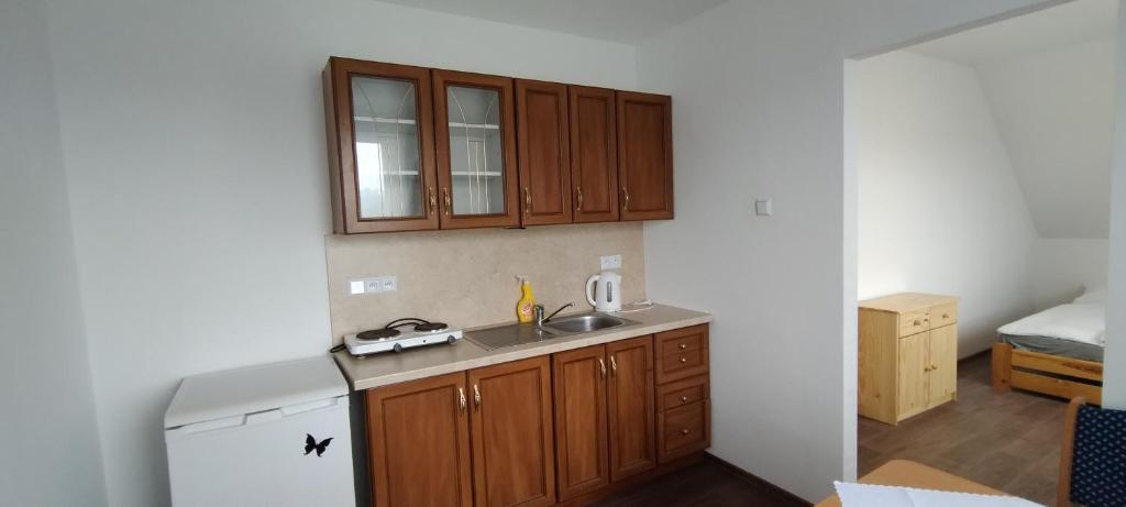 Kuchyňa alebo kuchynka v ubytovaní Apartmány u Bernardů