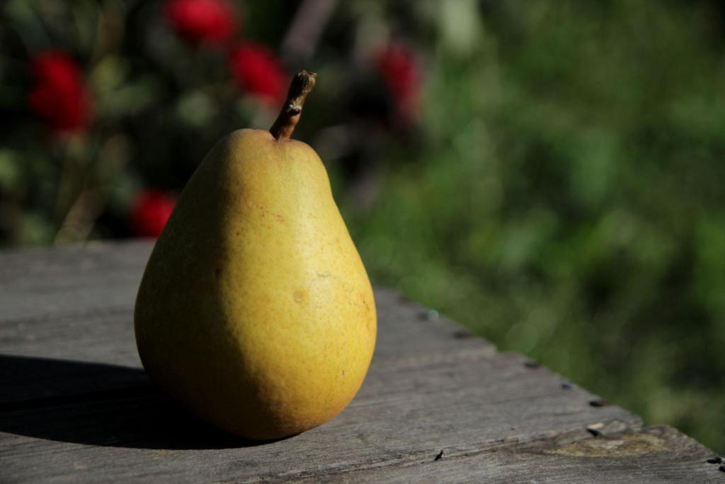 a yellow pear sitting on top of a wooden table at Ferienwohnung Butterbirne in Niedergörsdorf