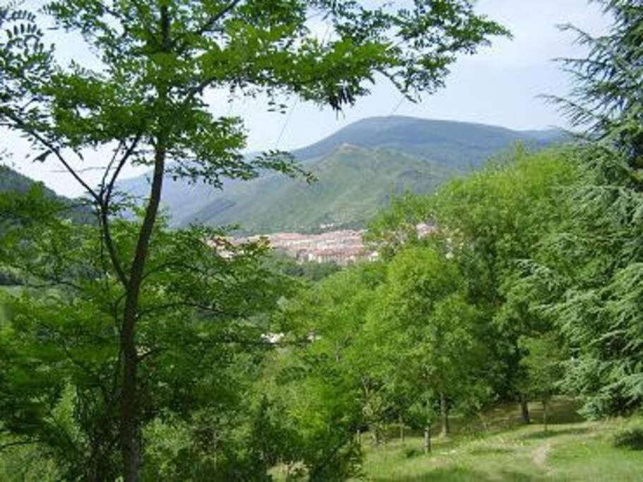 Příroda nedaleko apartmánu