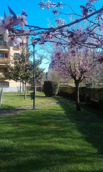 Zahrada ubytování Ezcaray. Con piscina y junto al rio