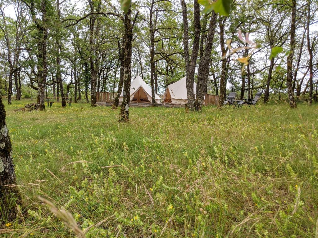 Příroda nedaleko luxury tent