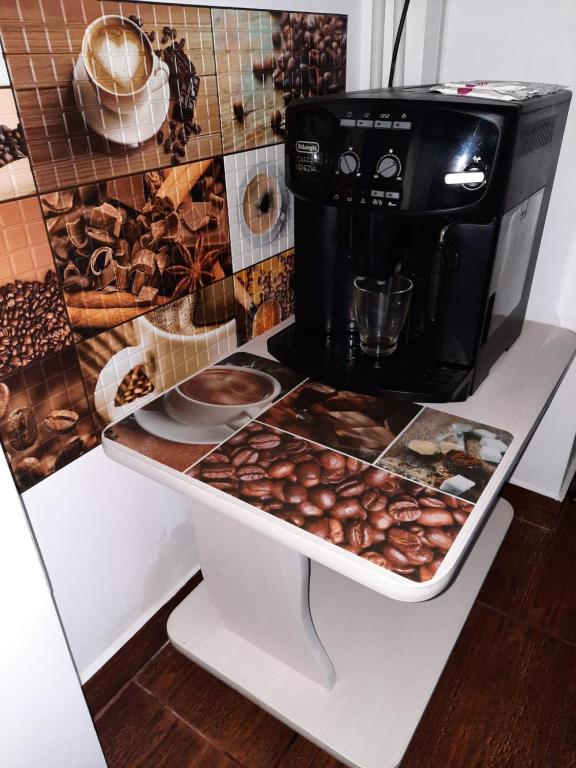 TV a/nebo společenská místnost v ubytování Apartament Belvedere Orsova