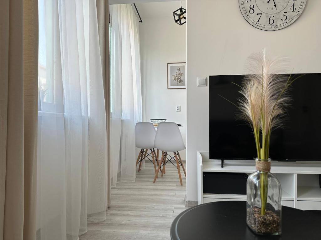 TV a/nebo společenská místnost v ubytování Apartamenty Przy Deptaku
