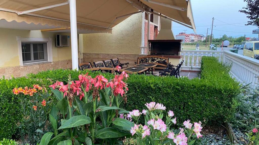 Calypso Beach Hotel - 9