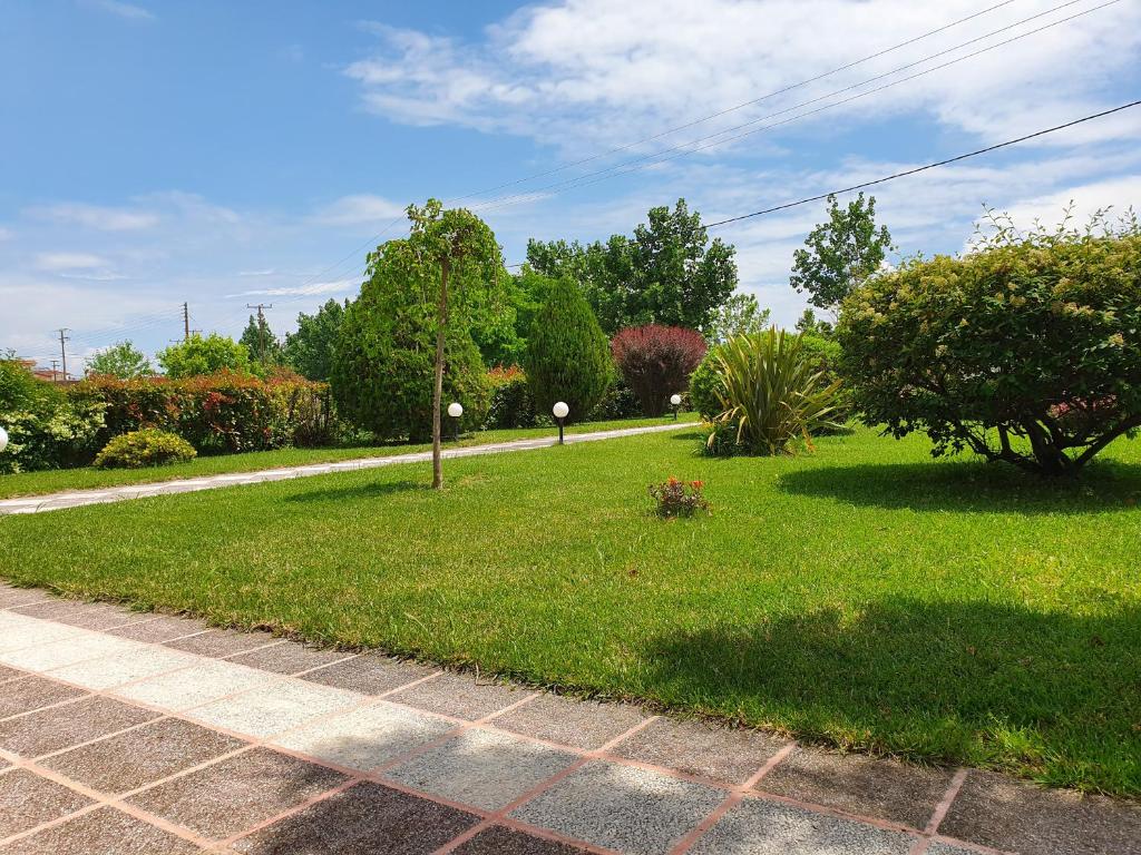 Calypso Beach Hotel - 10