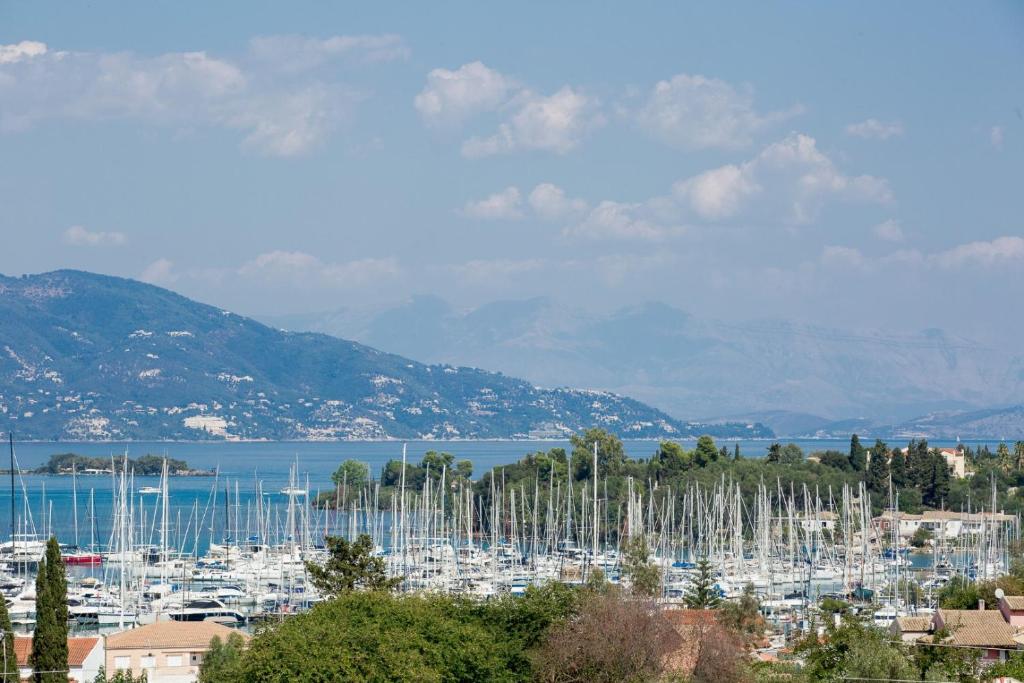 Tranquil Apartments Corfu - 2