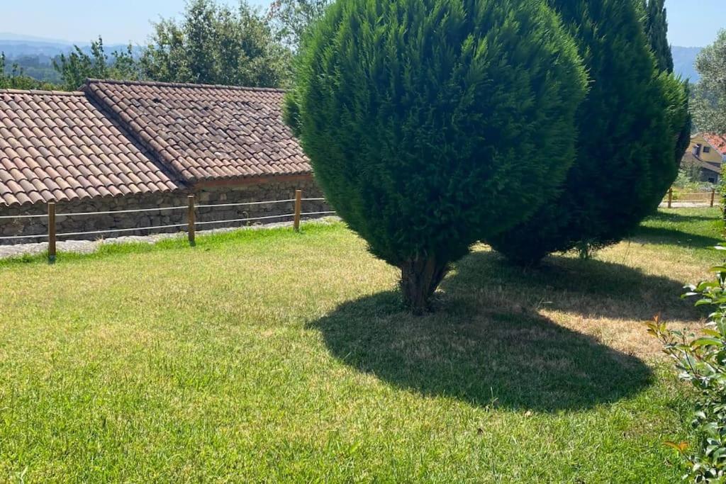 Zahrada ubytování VILLA SOLLEIRO