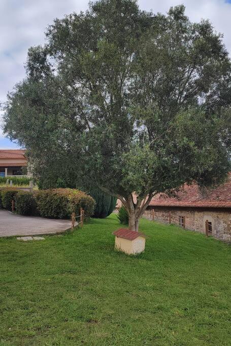 Zahrada ubytování VILLA SOLLEIRO