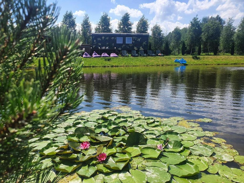 Příroda nedaleko luxury tent