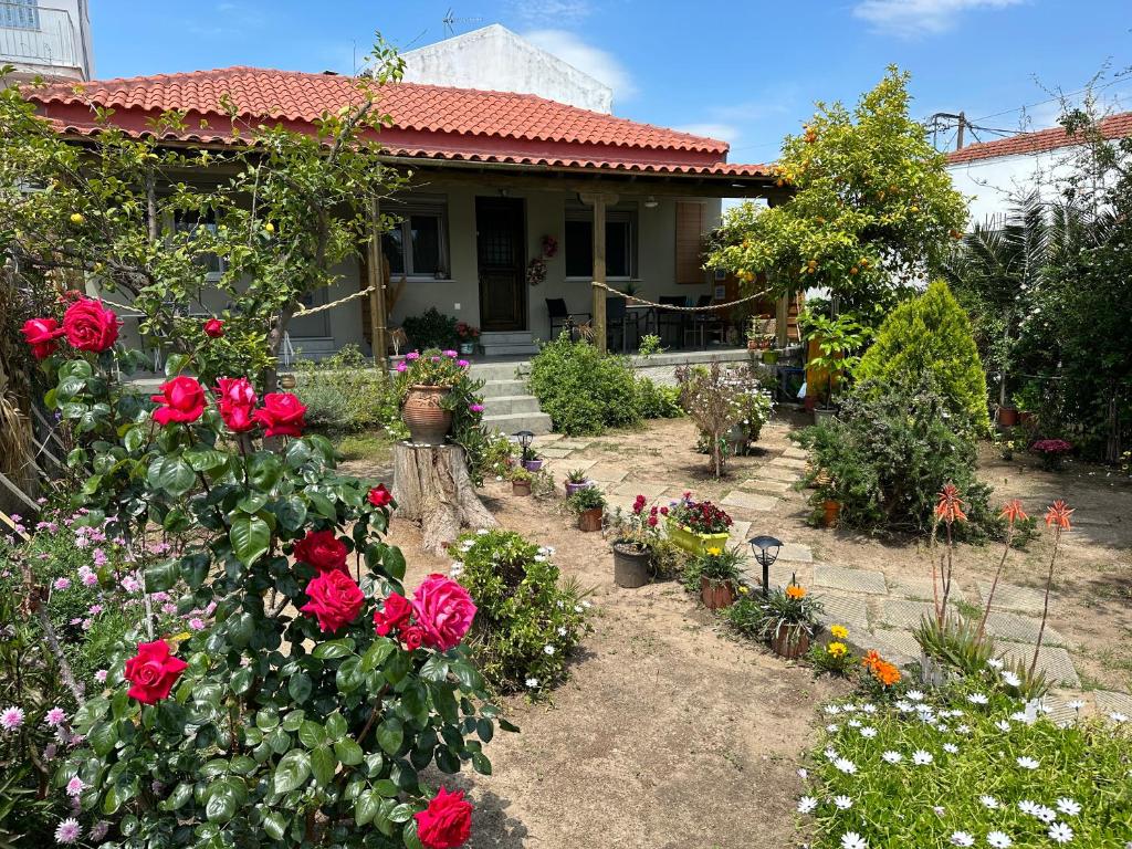 a house with red roses in a garden at Λευκό γιασεμί - Νέες Παγασές Βόλος in Kritharia