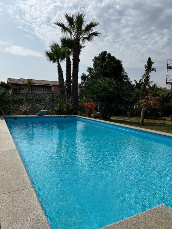 a blue swimming pool with a palm tree in the background at Villa Iris in Iglesias