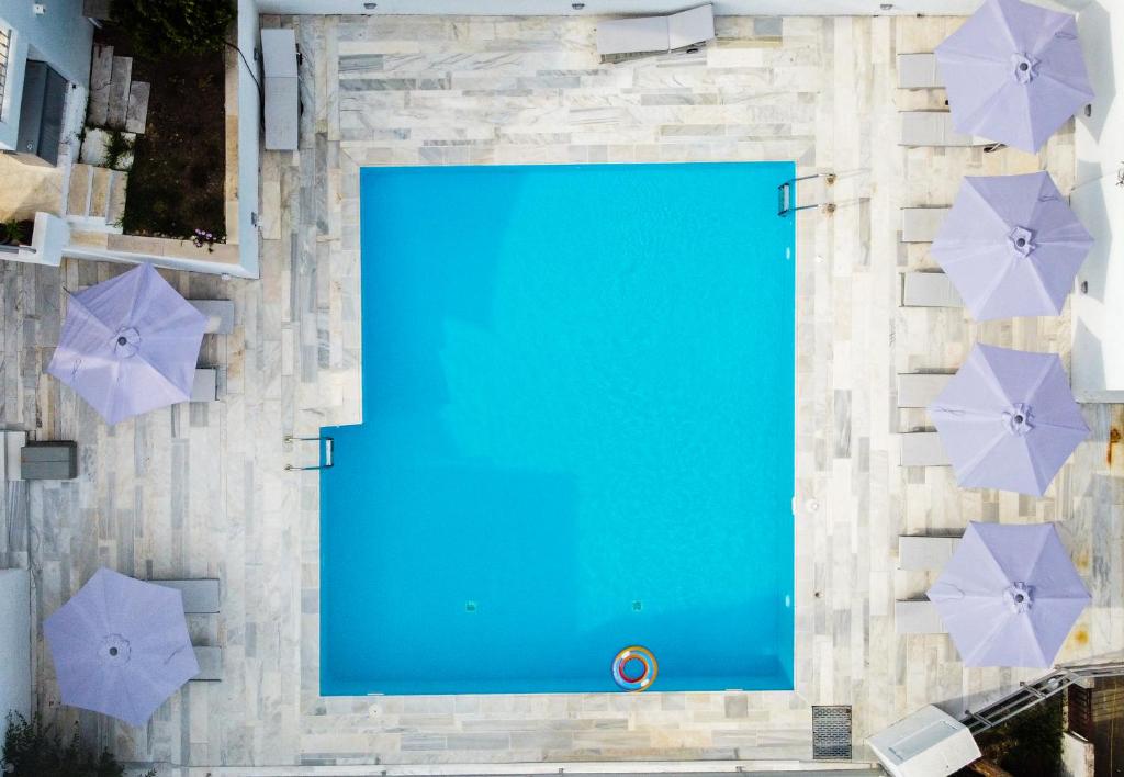 Bazén v ubytovaní Evita's Resort alebo v jeho blízkosti