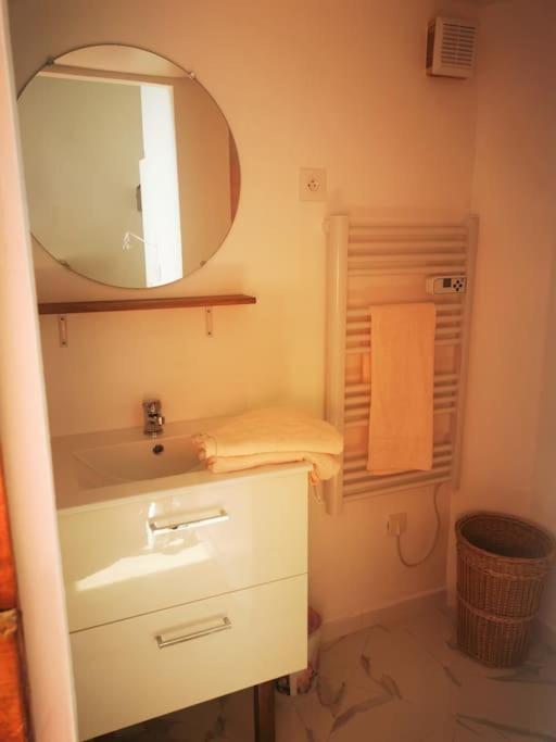 a bathroom with a sink and a mirror at Appartement avec terrasse in Saint-Martin-de-Brômes