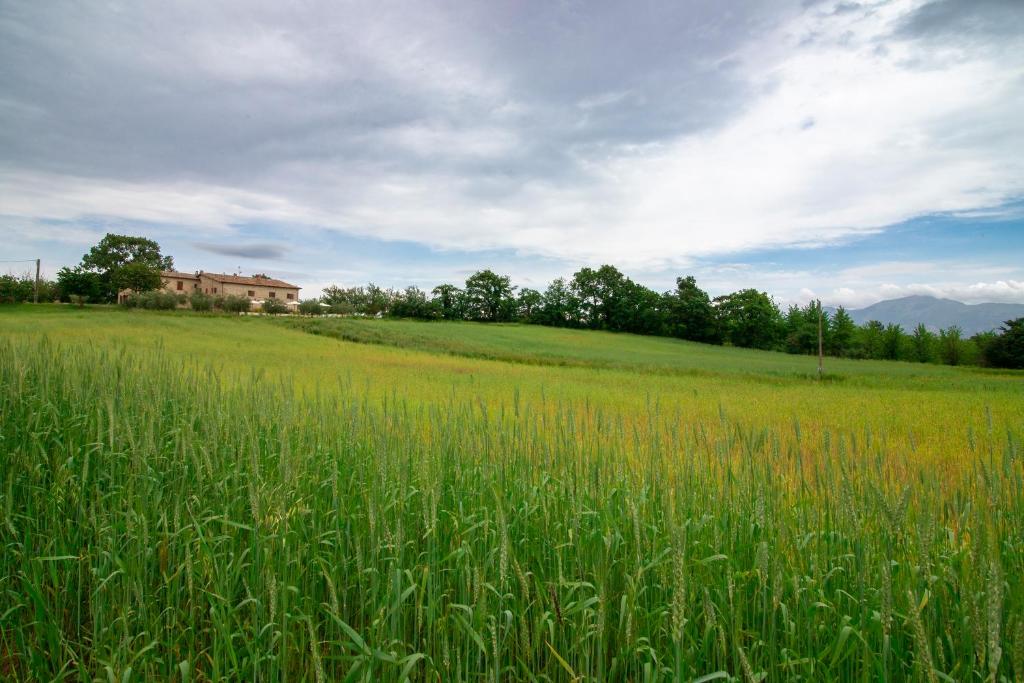 Casale Rancaglia photo