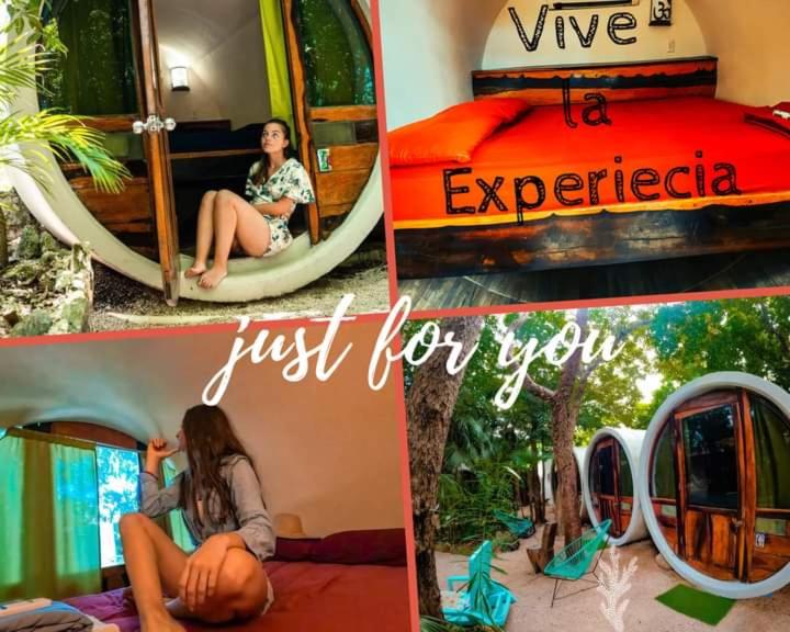 Fotografie z fotogalerie ubytování Tubo Tulum Hostel v destinaci Tulum