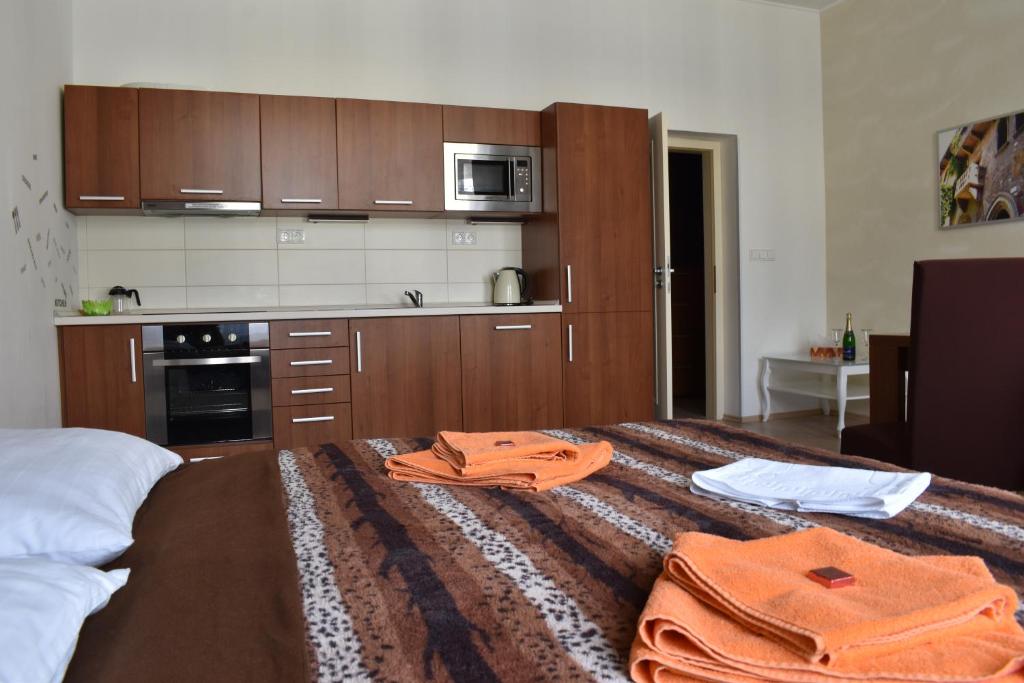Kuchyň nebo kuchyňský kout v ubytování Apartments Verona Karlovy Vary
