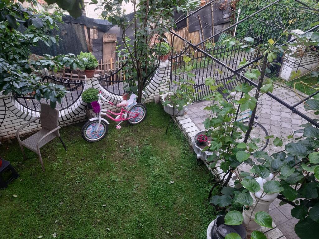 Zahrada ubytování Vila Mir