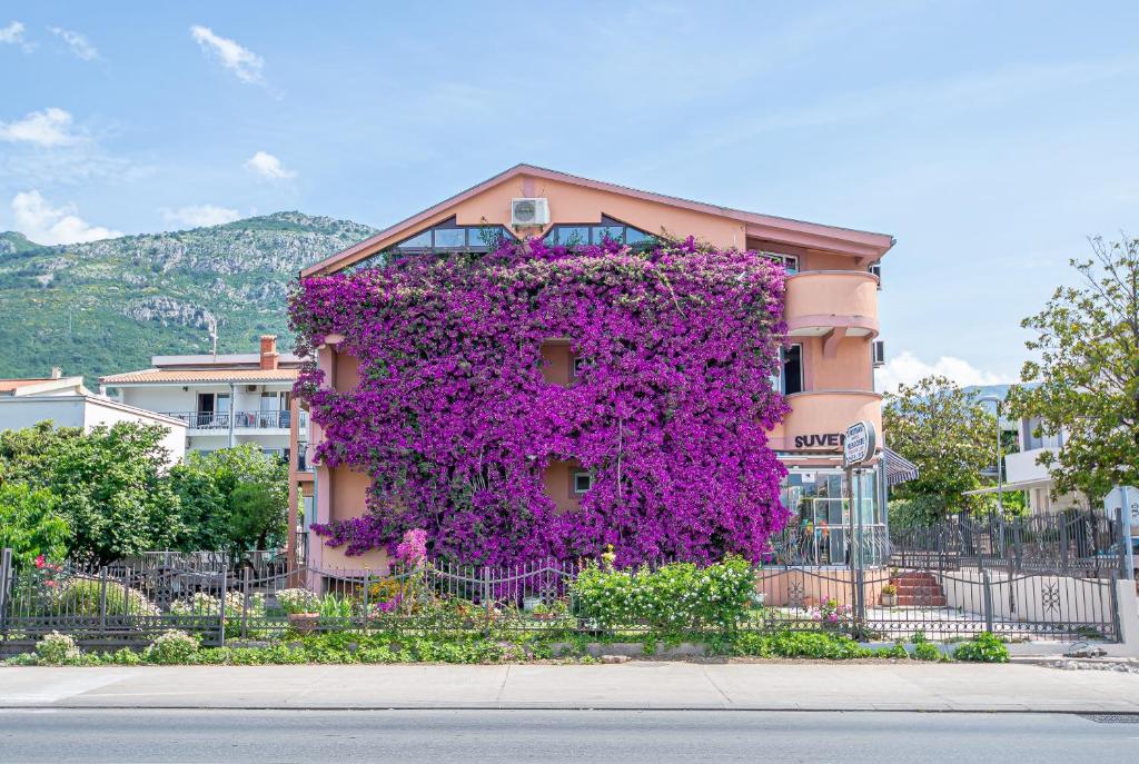 budynek pokryty fioletowymi kwiatami obok płotu w obiekcie Apartment Marcic w Barze