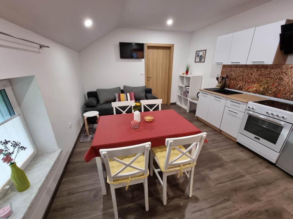 a kitchen and living room with a red table and chairs at Apartmaji Ribic in Ljubno