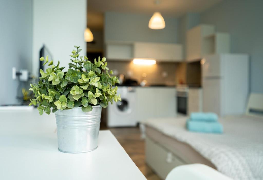 Kuchyň nebo kuchyňský kout v ubytování Cozy little apartment in Studentski grad