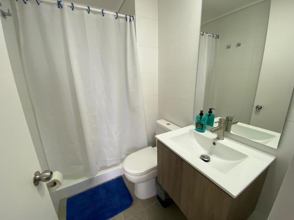 a bathroom with a sink and a toilet and a shower at Epicentro, departamento estudio, sin balcón, con estacionamiento in Temuco