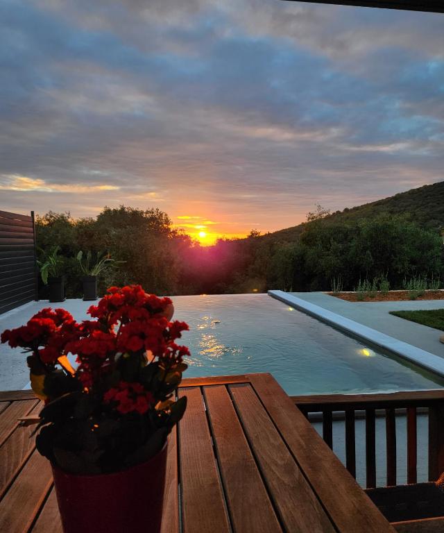 a vase of red flowers sitting on a table next to a pool at Elaionas Estate Perdika in Perdika