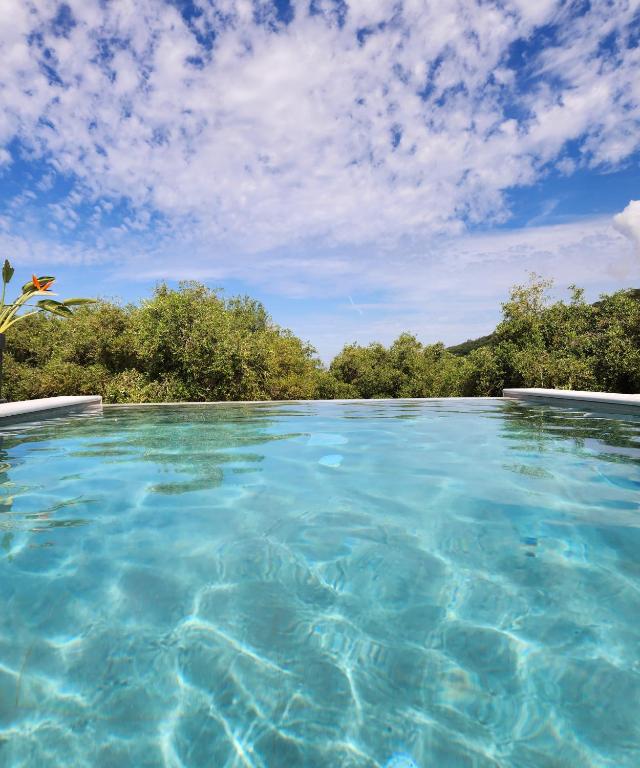 a pool of blue water with trees in the background at Elaionas Estate Perdika in Perdika