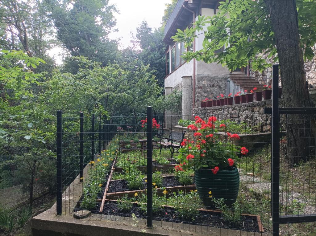 Zahrada ubytování Casa dei Faggi