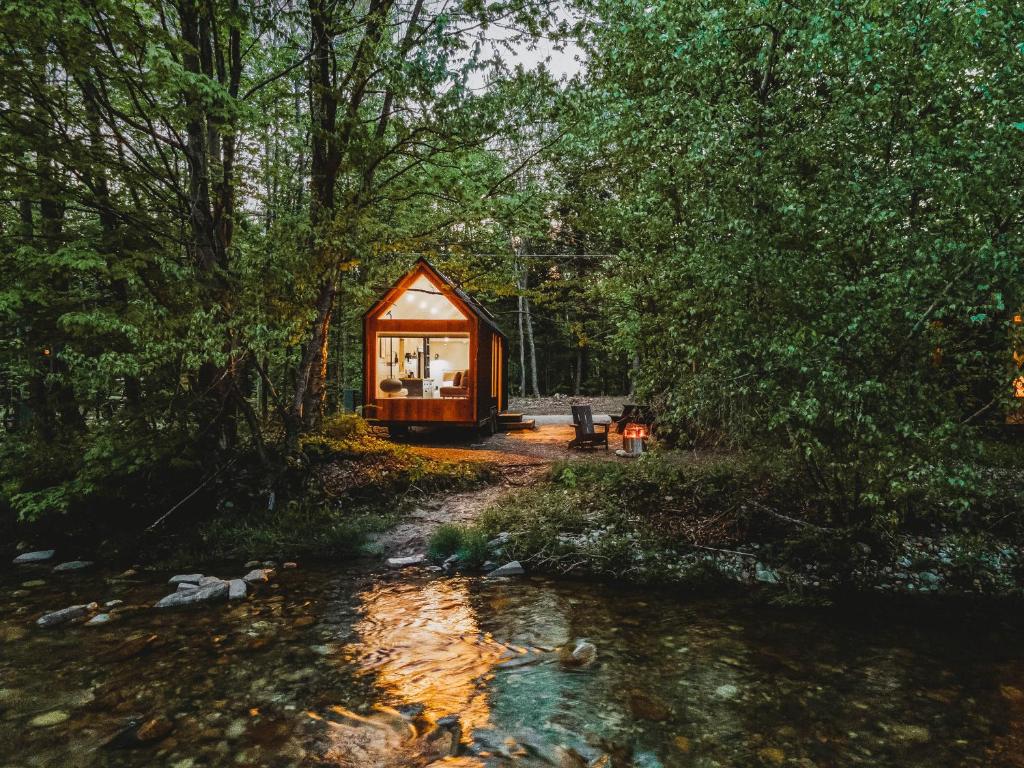 a tiny house in the woods next to a stream at Lumen Nature Retreat in Woodstock
