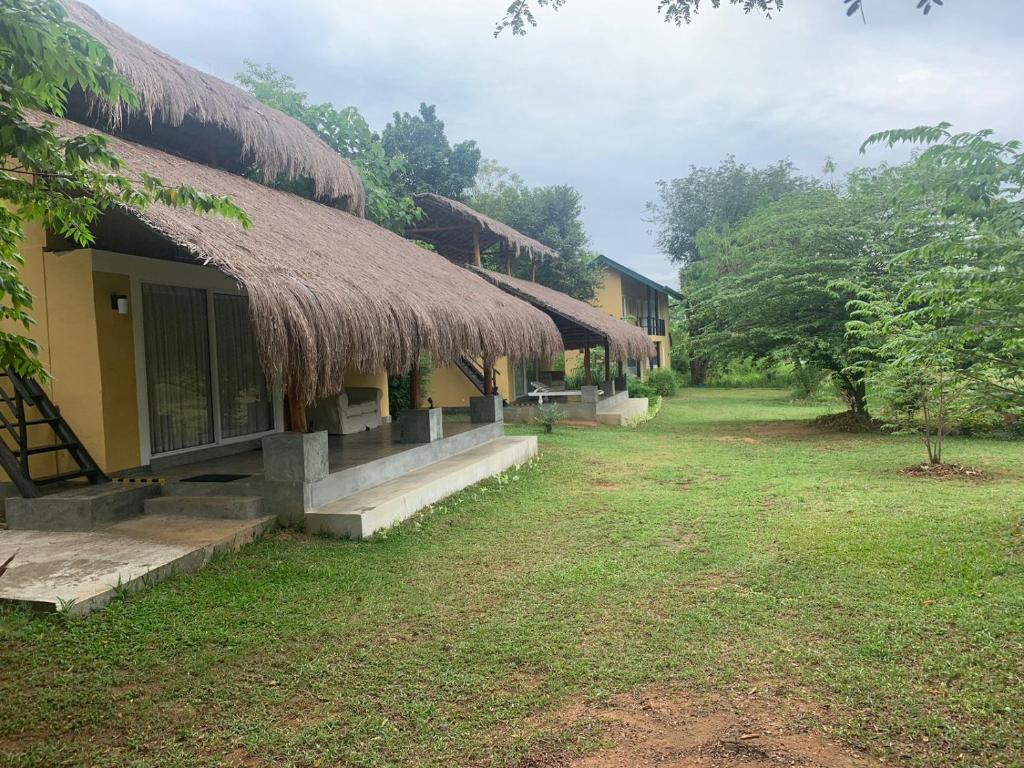 un grupo de edificios con techo de césped en Web of Life Resort Wasgamuwa, en Talakolawela
