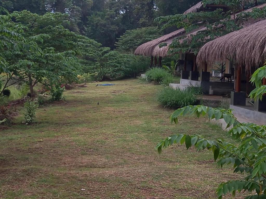 Zahrada ubytování Web of Life Resort Wasgamuwa