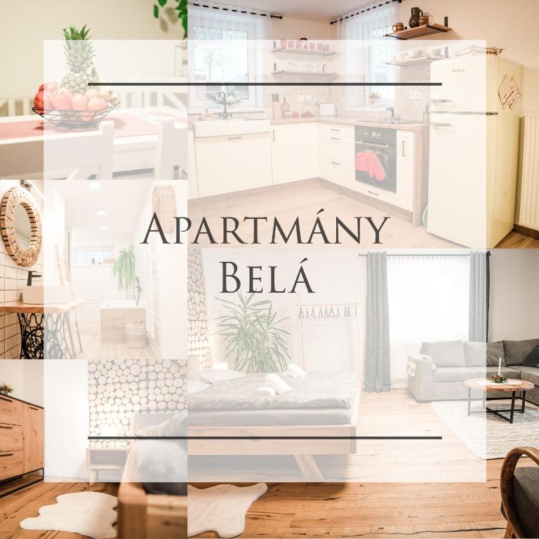 a collage of photos of a living room at Apartmány Belá in Spišská Belá