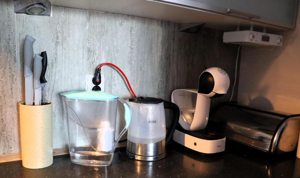 Kuchyňa alebo kuchynka v ubytovaní Apartament SYLVIA Self Check-In Netflix