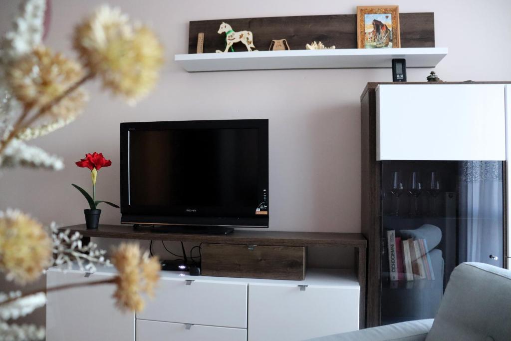 sala de estar con TV de pantalla plana en un centro de entretenimiento en Apartament SYLVIA Self Check-In Netflix, en Rzeszów