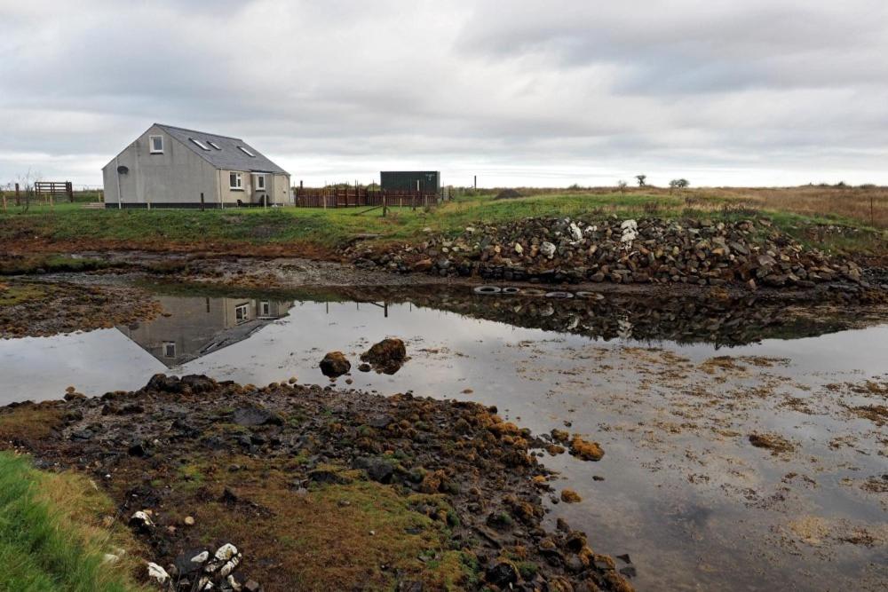 a house on a field with a body of water at Sea Breeze in Clachan