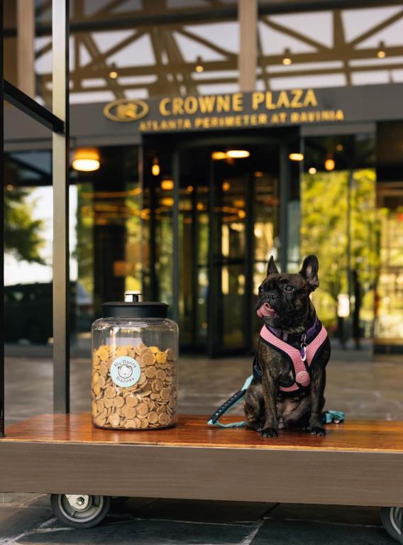 Crowne Plaza Atlanta Perimeter at Ravinia by IHG photo