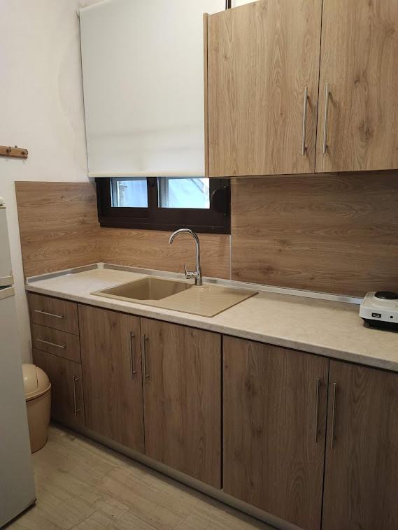 Kuchyň nebo kuchyňský kout v ubytování Anthoula House Sarti