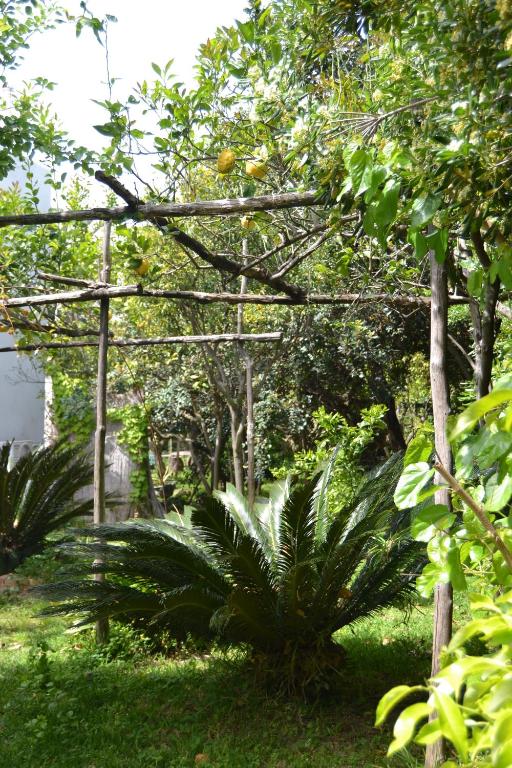 a garden with a wooden pergola and plants at Piccolo Tirreno Hotel Residence in Procida