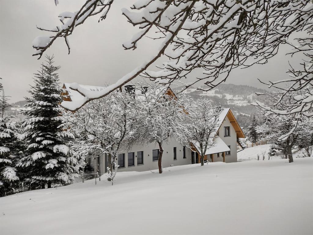 Willa 桃 MoMo Szczawnica - 18