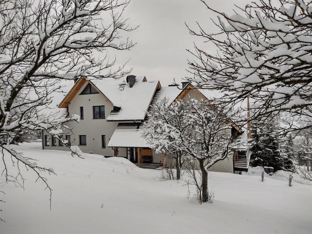 Willa 桃 MoMo Szczawnica - 17